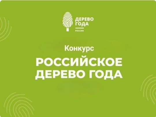 ������ - �������� ����� �������