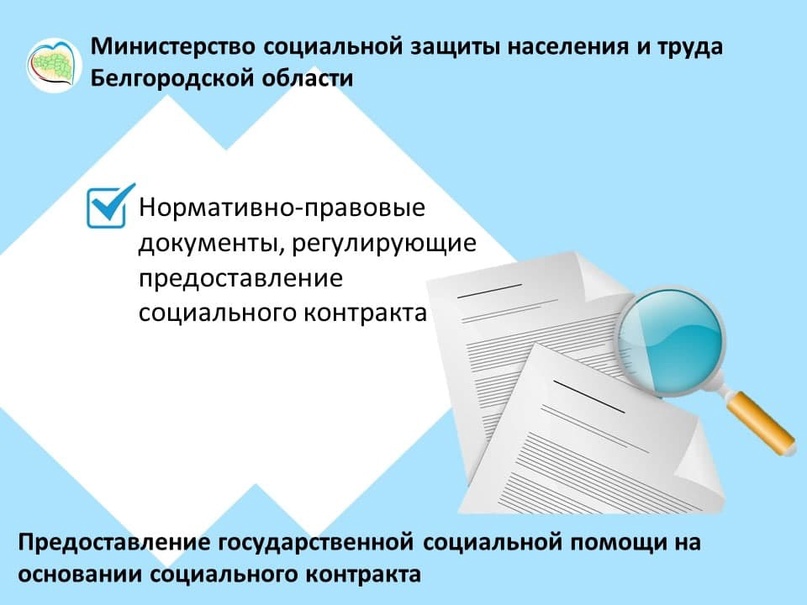 Социальный контракт, изображение №8